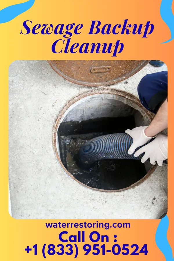 Sewage Backup Cleanup in Key Colony Beach, FL